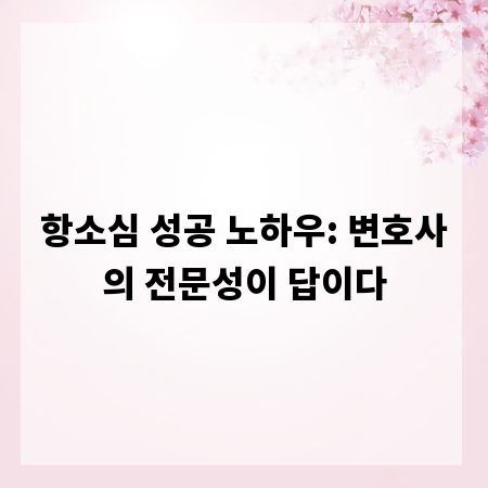항소심 성공 노하우: 변호사의 전문성이 답이다