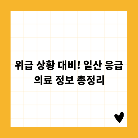 위급 상황 대비! 일산 응급의료 정보 총정리