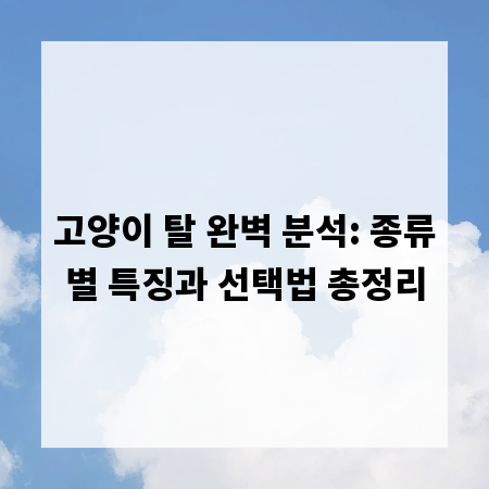 고양이 탈 완벽 분석: 종류별 특징과 선택법 총정리
