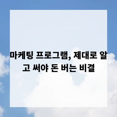 마케팅 프로그램, 제대로 알고 써야 돈 버는 비결