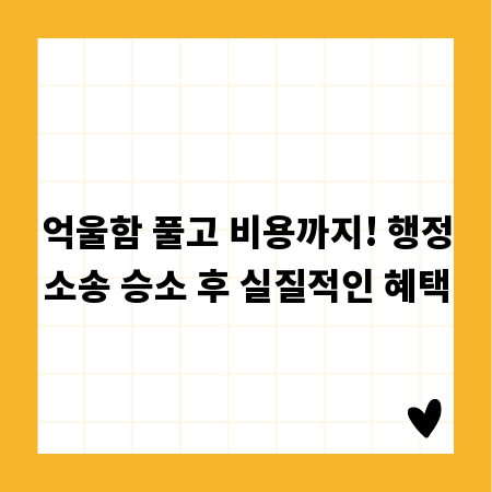 억울함 풀고 비용까지! 행정소송 승소 후 실질적인 혜택