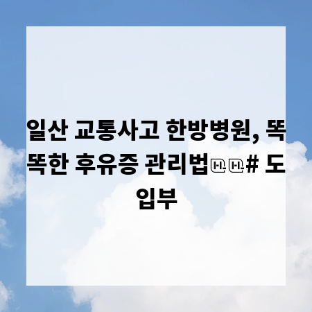 일산 교통사고 한방병원, 똑똑한 후유증 관리법

# 도입부