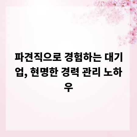 파견직으로 경험하는 대기업, 현명한 경력 관리 노하우