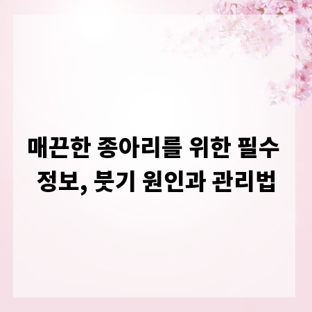 매끈한 종아리를 위한 필수 정보, 붓기 원인과 관리법