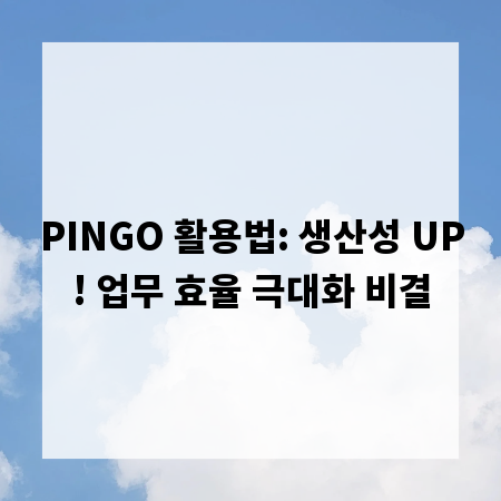 PINGO 활용법: 생산성 UP! 업무 효율 극대화 비결