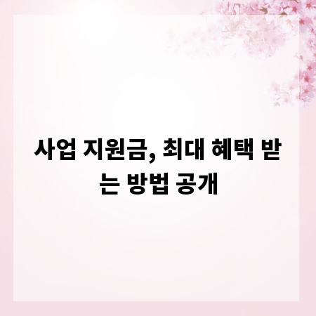 사업 지원금, 최대 혜택 받는 방법 공개