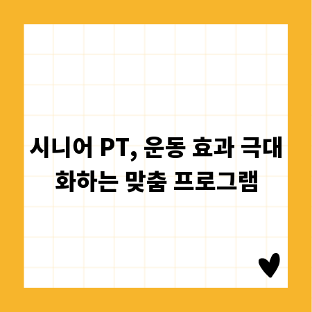 시니어 PT, 운동 효과 극대화하는 맞춤 프로그램