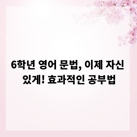 6학년 영어 문법, 이제 자신 있게! 효과적인 공부법