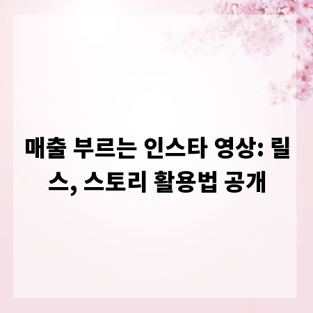 매출 부르는 인스타 영상: 릴스, 스토리 활용법 공개