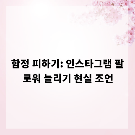 함정 피하기: 인스타그램 팔로워 늘리기 현실 조언