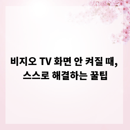 비지오 TV 화면 안 켜질 때, 스스로 해결하는 꿀팁
