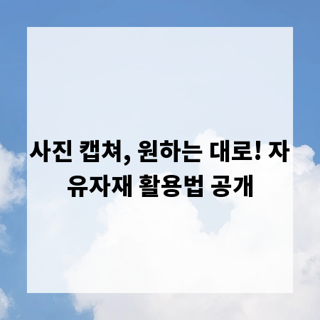 사진 캡쳐, 원하는 대로! 자유자재 활용법 공개