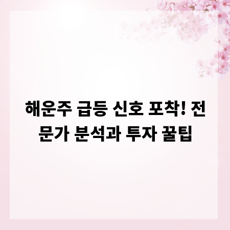 해운주 급등 신호 포착! 전문가 분석과 투자 꿀팁