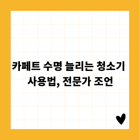 카페트 수명 늘리는 청소기 사용법, 전문가 조언