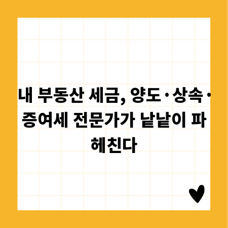 내 부동산 세금, 양도&middot;상속&middot;증여세 전문가가 낱낱이 파헤친다