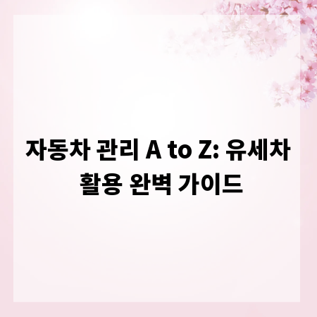 자동차 관리 A to Z: 유세차 활용 완벽 가이드