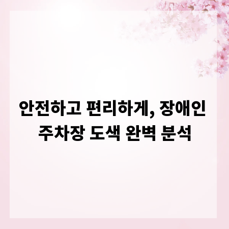 안전하고 편리하게, 장애인 주차장 도색 완벽 분석