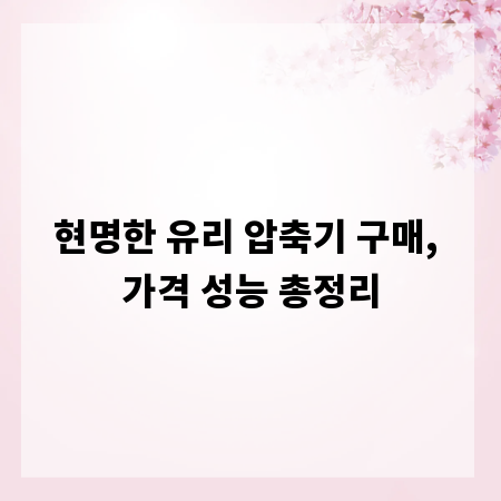 현명한 유리 압축기 구매, 가격 성능 총정리
