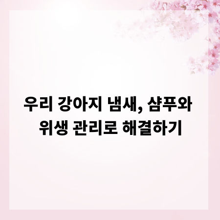 우리 강아지 냄새, 샴푸와 위생 관리로 해결하기