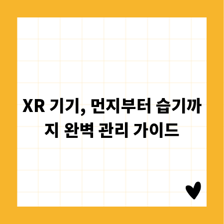 XR 기기, 먼지부터 습기까지 완벽 관리 가이드