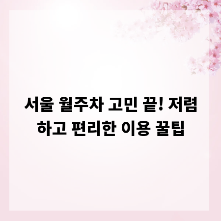 서울 월주차 고민 끝! 저렴하고 편리한 이용 꿀팁