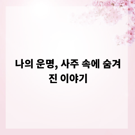 나의 운명, 사주 속에 숨겨진 이야기