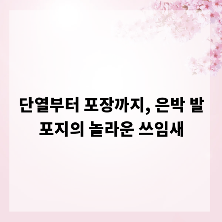 단열부터 포장까지, 은박 발포지의 놀라운 쓰임새