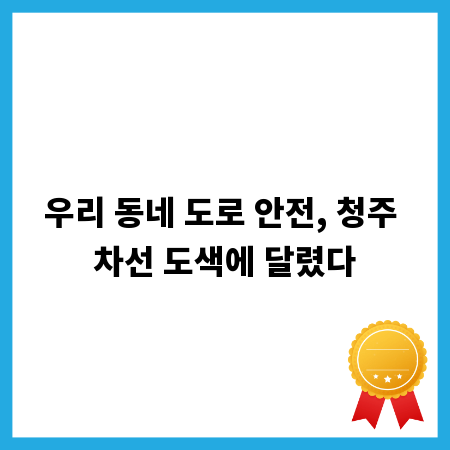 우리 동네 도로 안전, 청주 차선 도색에 달렸다