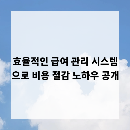 효율적인 급여 관리 시스템으로 비용 절감 노하우 공개