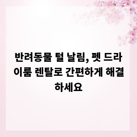 반려동물 털 날림, 펫 드라이룸 렌탈로 간편하게 해결하세요