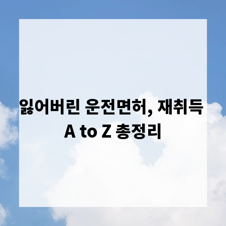 잃어버린 운전면허, 재취득 A to Z 총정리