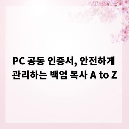 PC 공동 인증서, 안전하게 관리하는 백업 복사 A to Z