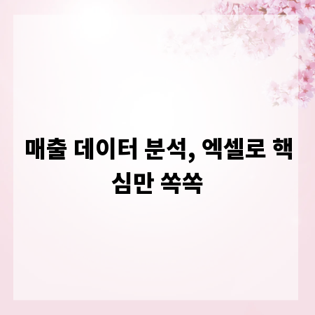 매출 데이터 분석, 엑셀로 핵심만 쏙쏙