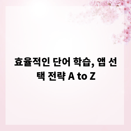 효율적인 단어 학습, 앱 선택 전략 A to Z