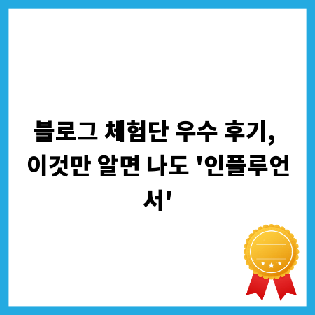블로그 체험단 우수 후기, 이것만 알면 나도 '인플루언서'