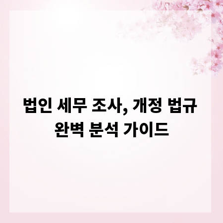 법인 세무 조사, 개정 법규 완벽 분석 가이드
