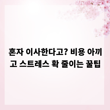 혼자 이사한다고? 비용 아끼고 스트레스 확 줄이는 꿀팁