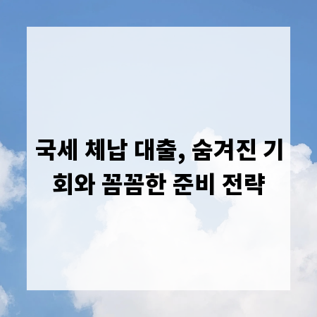 국세 체납 대출, 숨겨진 기회와 꼼꼼한 준비 전략