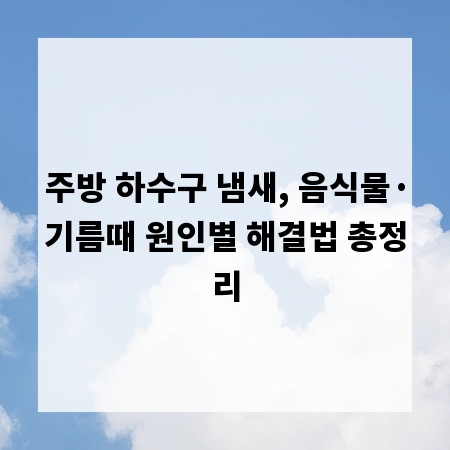 주방 하수구 냄새, 음식물&middot;기름때 원인별 해결법 총정리