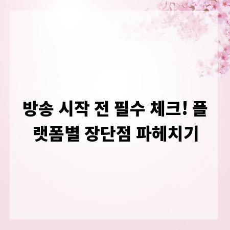 방송 시작 전 필수 체크! 플랫폼별 장단점 파헤치기