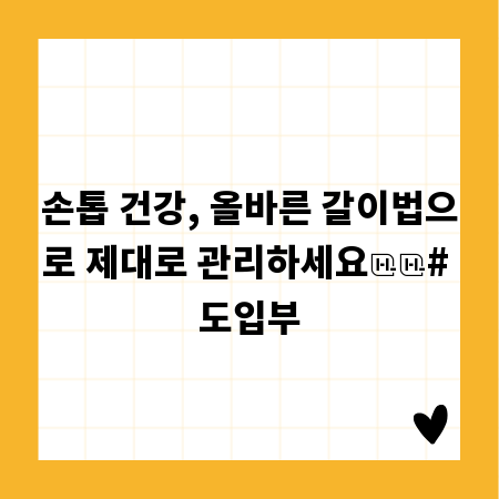 손톱 건강, 올바른 갈이법으로 제대로 관리하세요

# 도입부