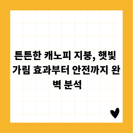 튼튼한 캐노피 지붕, 햇빛 가림 효과부터 안전까지 완벽 분석