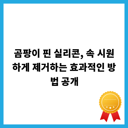 곰팡이 핀 실리콘, 속 시원하게 제거하는 효과적인 방법 공개