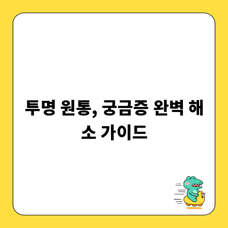 투명 원통, 궁금증 완벽 해소 가이드