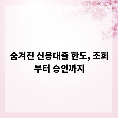 숨겨진 신용대출 한도, 조회부터 승인까지