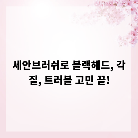 세안브러쉬로 블랙헤드, 각질, 트러블 고민 끝!