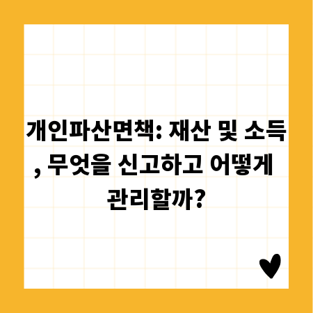 개인파산면책: 재산 및 소득, 무엇을 신고하고 어떻게 관리할까?