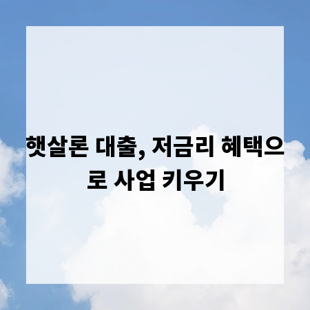 햇살론 대출, 저금리 혜택으로 사업 키우기