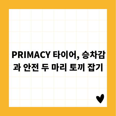 PRIMACY 타이어, 승차감과 안전 두 마리 토끼 잡기