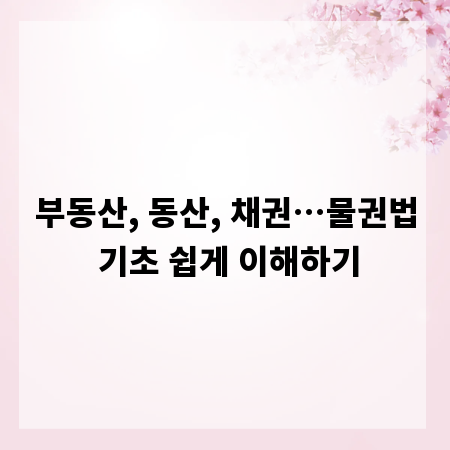 부동산, 동산, 채권&hellip;물권법 기초 쉽게 이해하기